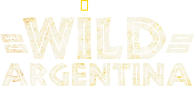 Wild Argentina
