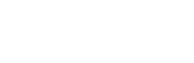 Professione spia