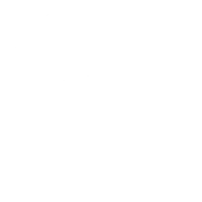Mr. Mayor