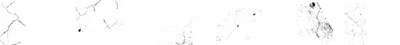 Primal