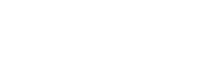 Next Day Air