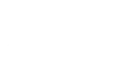 Wild Life